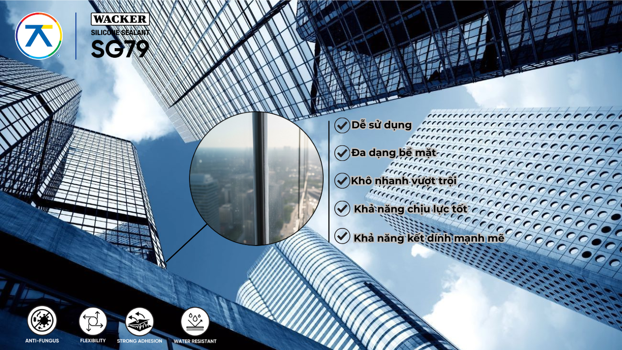 wacker-silicone-sg79
